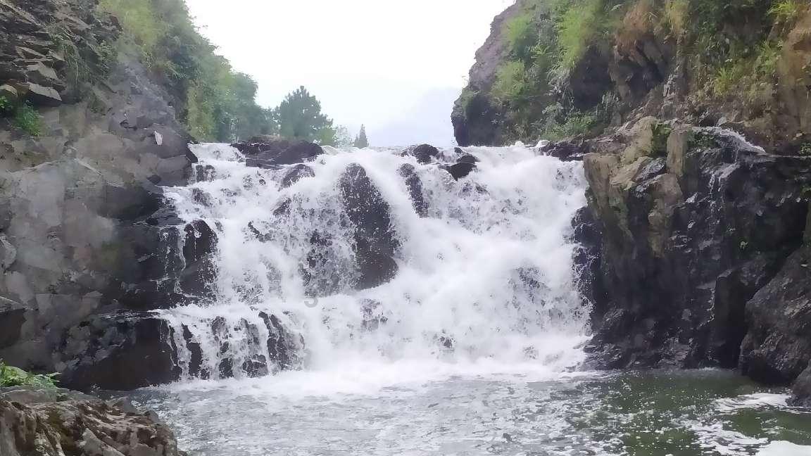 小猫钓鱼游戏龙王版有船